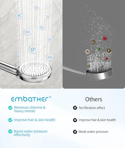Filtered Shower Head with Handheld
