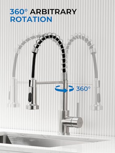 Pull Out Kitchen Faucet