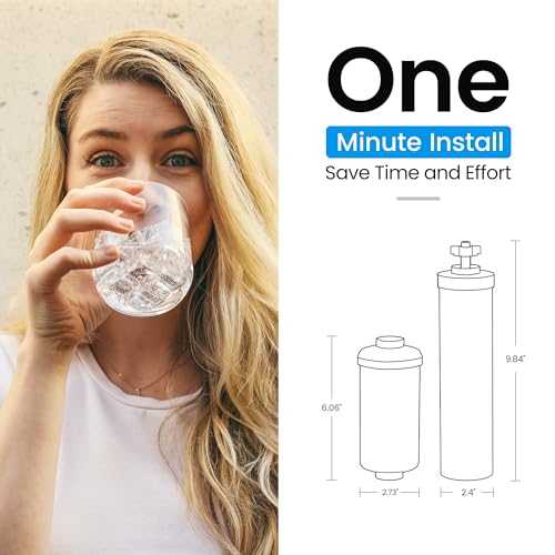 Gravity Water Filter (4 Count)