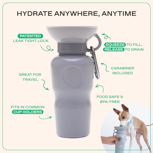 Springer Dog Water Bottle