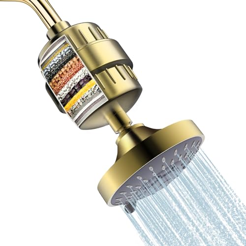Shower Head with Shower Filter