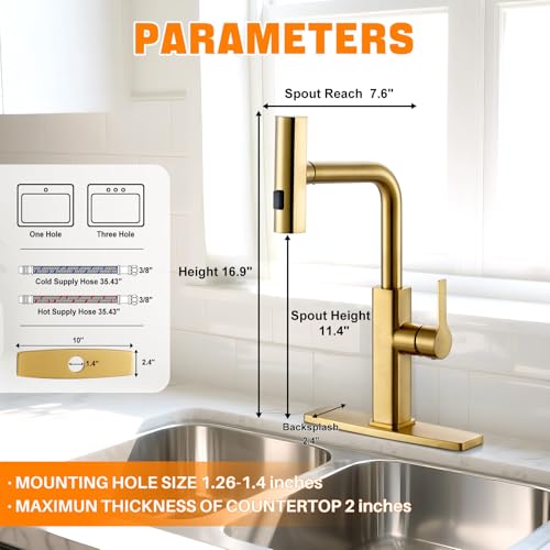 Kitchen Faucet with Pull Down Sprayer