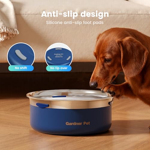 Slow Water Bowl for Dogs