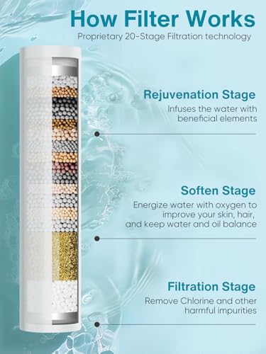 Filtered Shower Head with Handheld