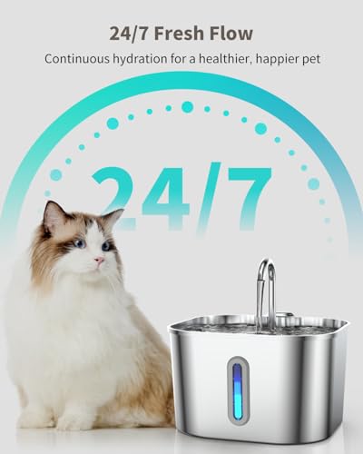 Stainless Steel Cat Water Fountain
