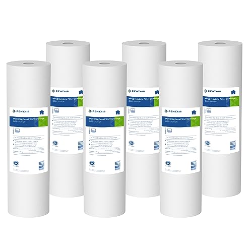 Pentair Pentek DGD (6 Count)