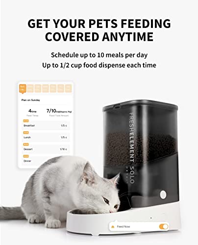 Automatic Cat Feeder