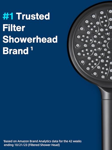 Filtered Shower Head with Handheld