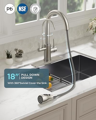 Kitchen Faucet with Purified Water