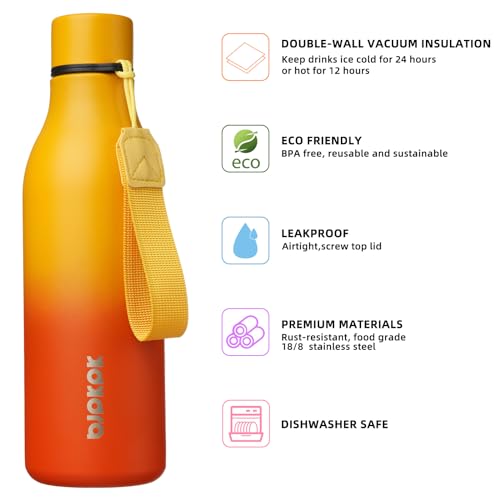 18oz Insulated Water Bottle