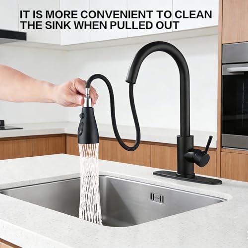Kitchen Faucet with Pull Down Sprayer