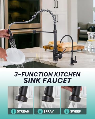 Kitchen Faucet and Water Filter Faucet