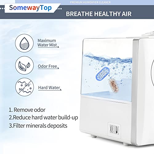 Humidifier Cleaner