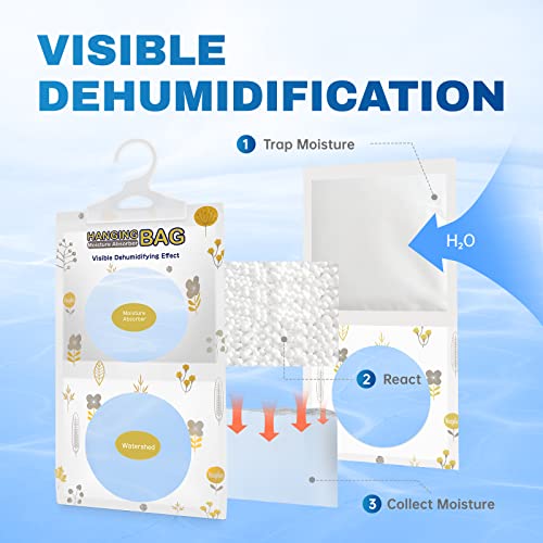 Moisture Absorber (10 Count)