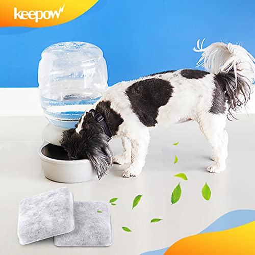 12 Pack Filter Compatible with Petmate Replendish Mason Gravity