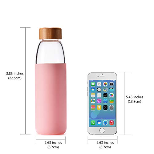 18 Oz Borosilicate Glass Water Bottles with Bamboo Lid