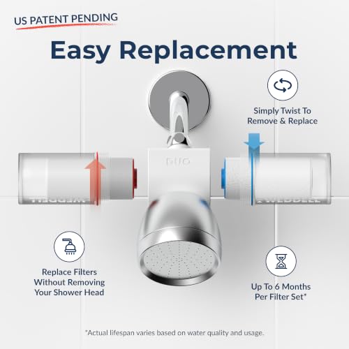 Duo Shower Head Filter