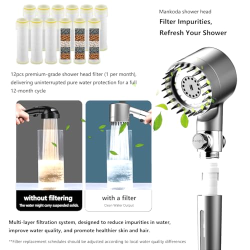 Filtered Shower Head with Handheld