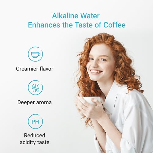 PF AL Alkaline Water Filter Replacement for Waterdrop® Pitchers (2 Count)