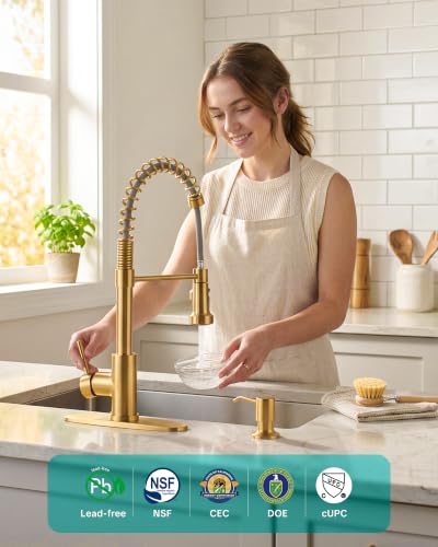 Kitchen Sink Faucet with Soap Dispenser