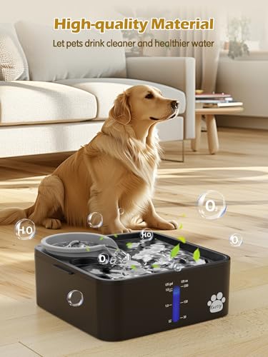 2 Gallon Dog Water Fountain Ultra Large
