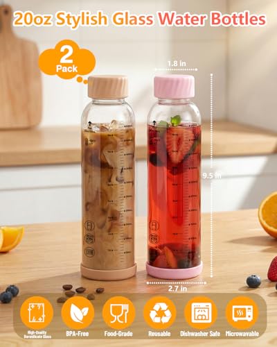 Glass Water Bottles with Stainless Steel Lid 20 oz (2 Count)
