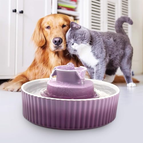 Ceramic Cat Fountain