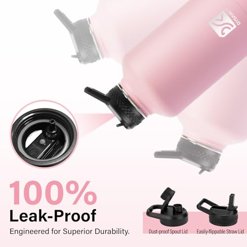 Insulated Water Bottle
