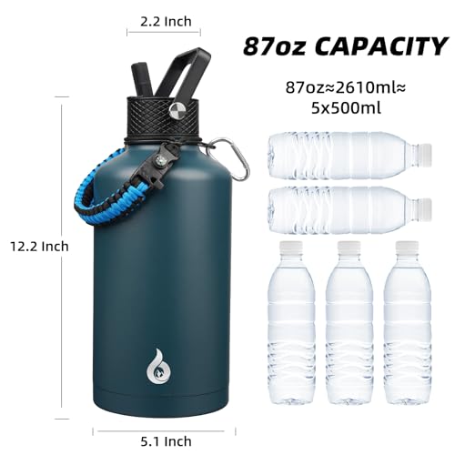 87oz Insulated Water Bottle with Straw Lid Stainless Steel Water Jug