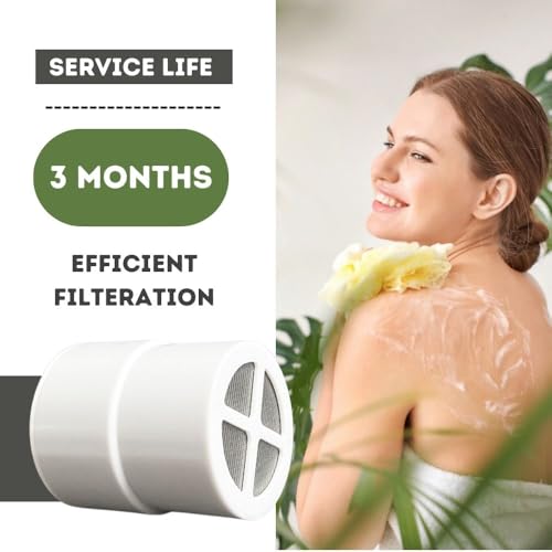 2 Pack Replacement Shower Filter for The Jolie (2 Count)