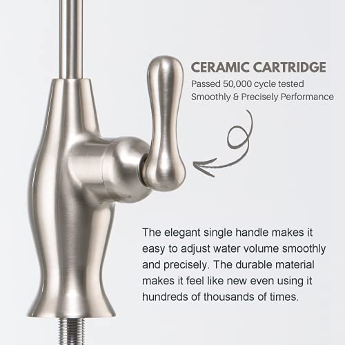 Brushed Nickel Reverse Osmosis Faucet