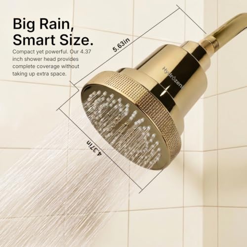 Filtered Shower Head Gold