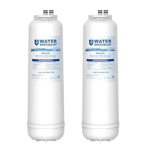 RC EZ 4 Filter Replacement for Culligan® RC (2 Count)