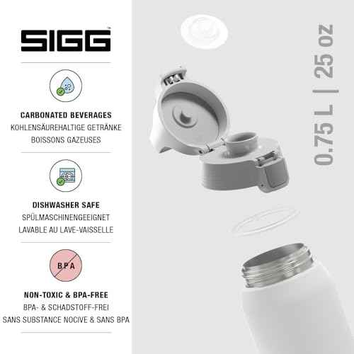 Insulated Water Bottle
