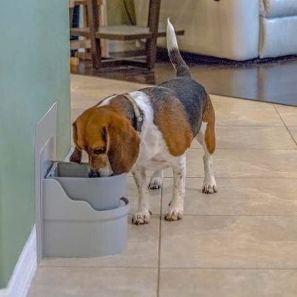 Automatic Pet Water Bowl