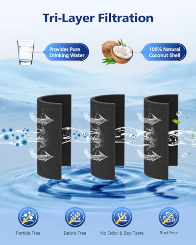 ADQ36006101 Water Filter Replacement for LG LT700P (3 Count)