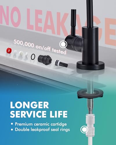 Kitchen Faucet with Pull Down Sprayer