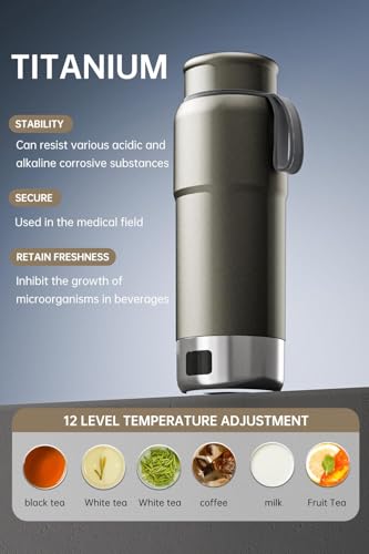 Pure Titanium Electric Travel Kettle