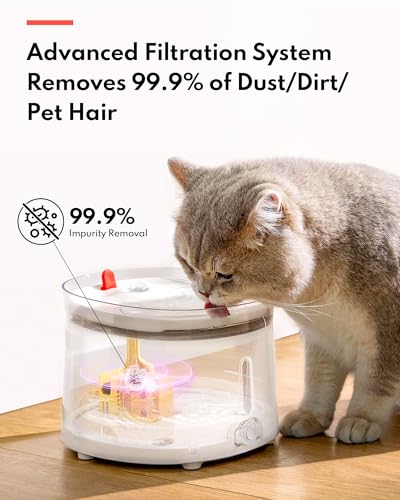 Cat Water Fountain Porcelain