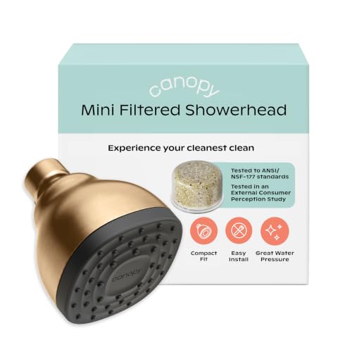 Mini Filtered Shower Head