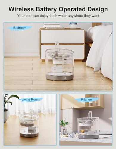 Wireless Cat Fountain