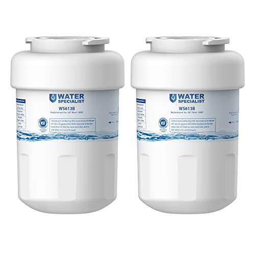 WS613B Water Filter (2 Count)