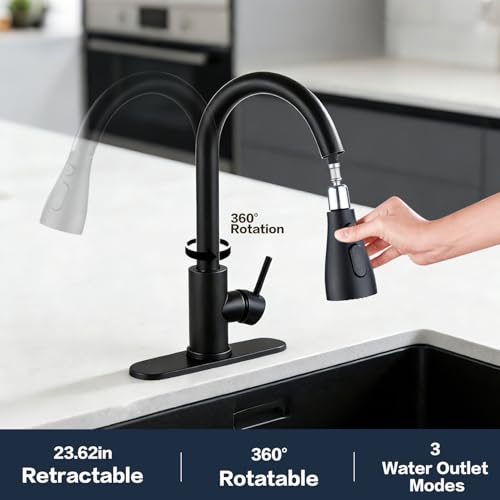 Kitchen Faucet with Pull Down Sprayer