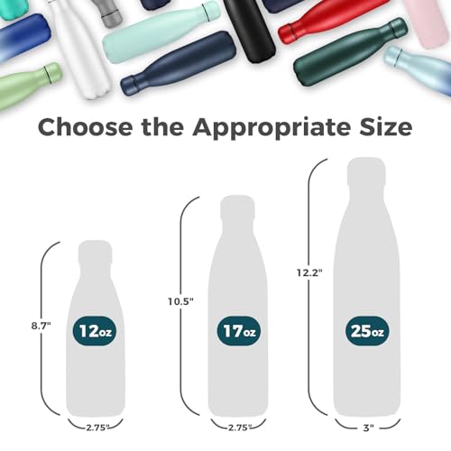 17oz Insulated Stainless Steel Water Bottle