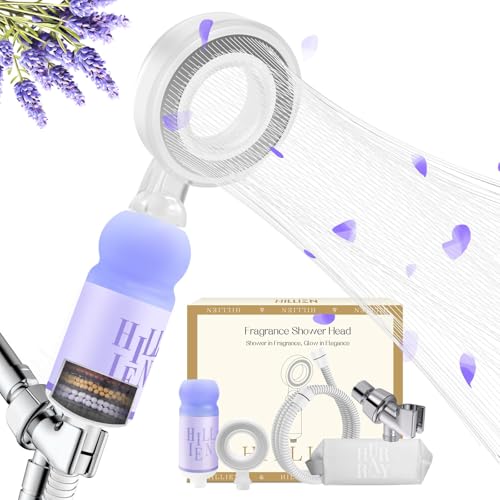 Vitamin C & Aromatherapy Skincare Spa Shower Head with Handheld