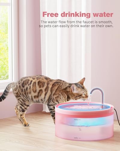 Pink Cat Water Fountain