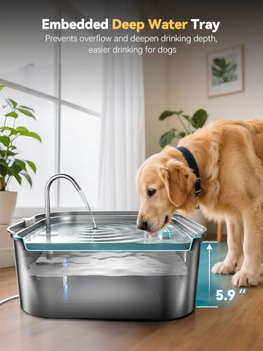 Large Dog Water Fountain 14L