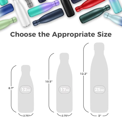 17oz Insulated Water Bottles MultiPack (4 Count)