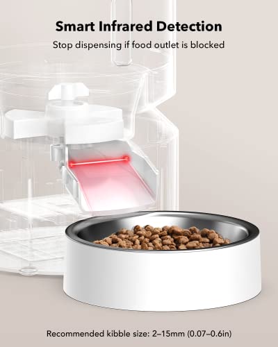 Automatic Cat Feeder