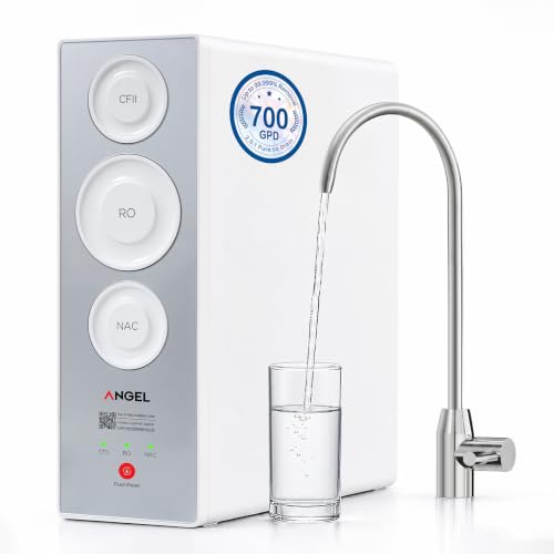 X2 Tankless Reverse Osmosis System
